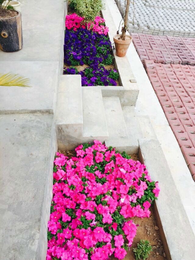 图片 20170623181340.jpg QQ